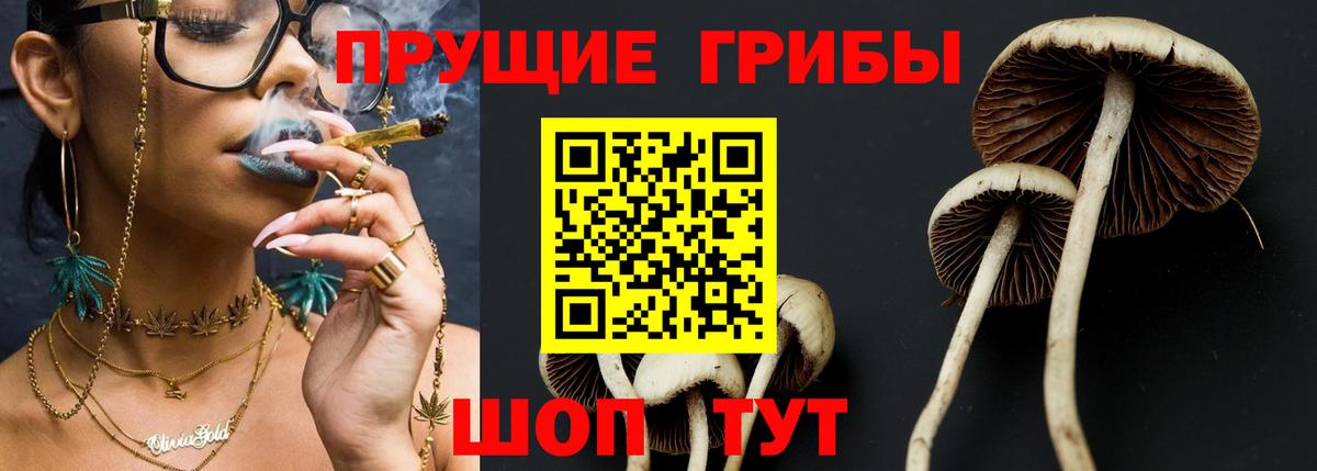 Галлюциногенные грибы Psilocybe Каспийск