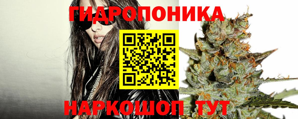 Шишки марихуана семена Каспийск